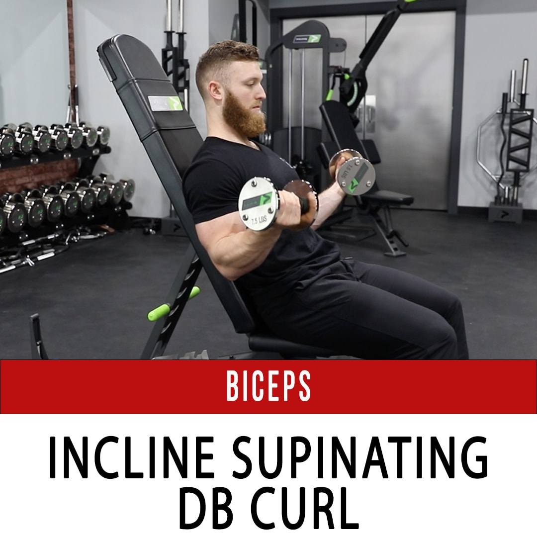 Biceps Incline Supinating DB Curl