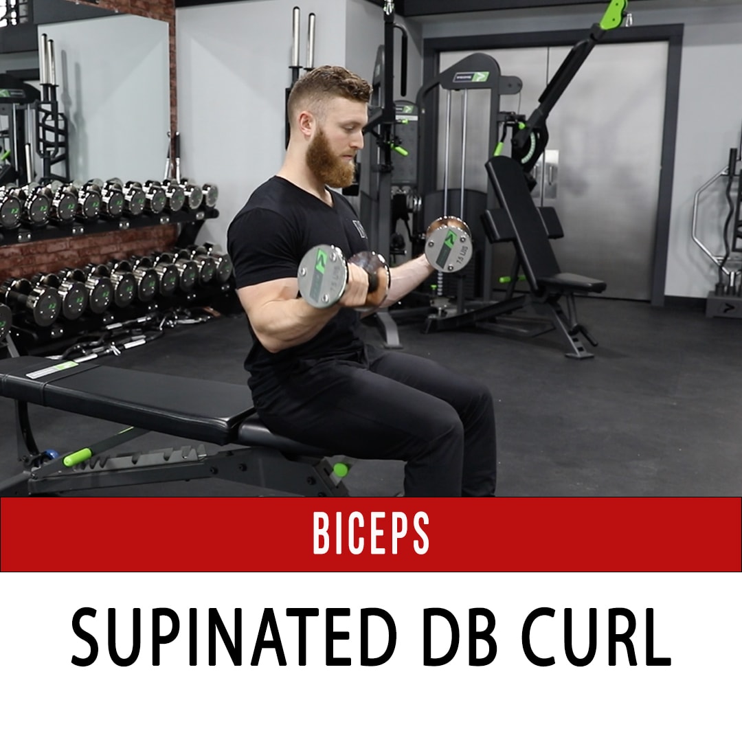 Biceps Supinated DB Curl