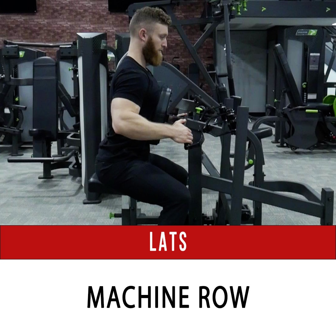 Lats Seated Row - Prime Plate Loaded