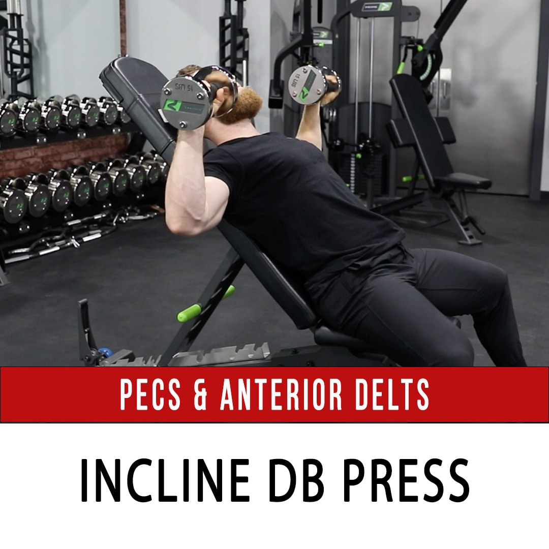 Incline DB Press
