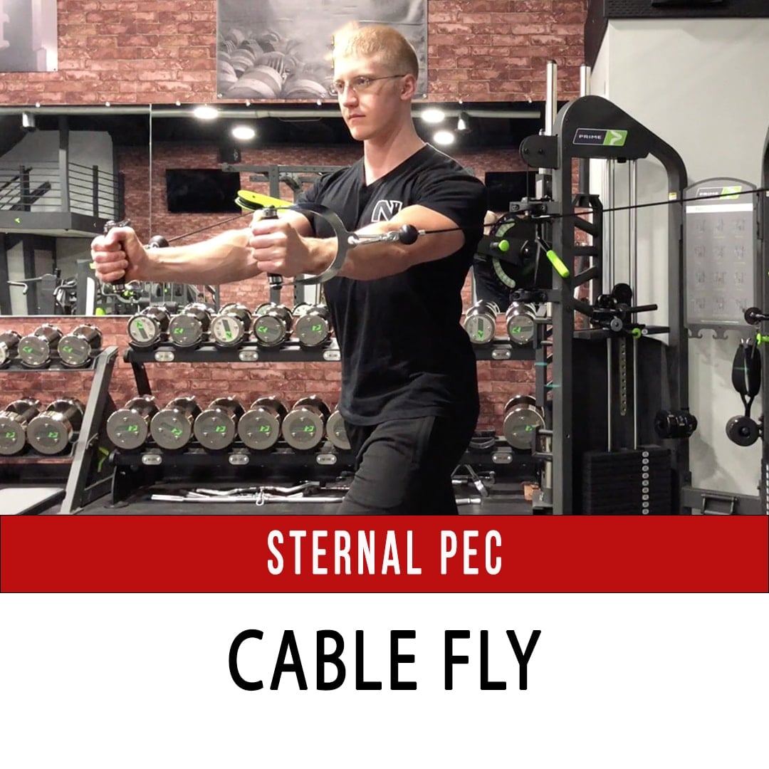 Sternal Pec Cable Fly
