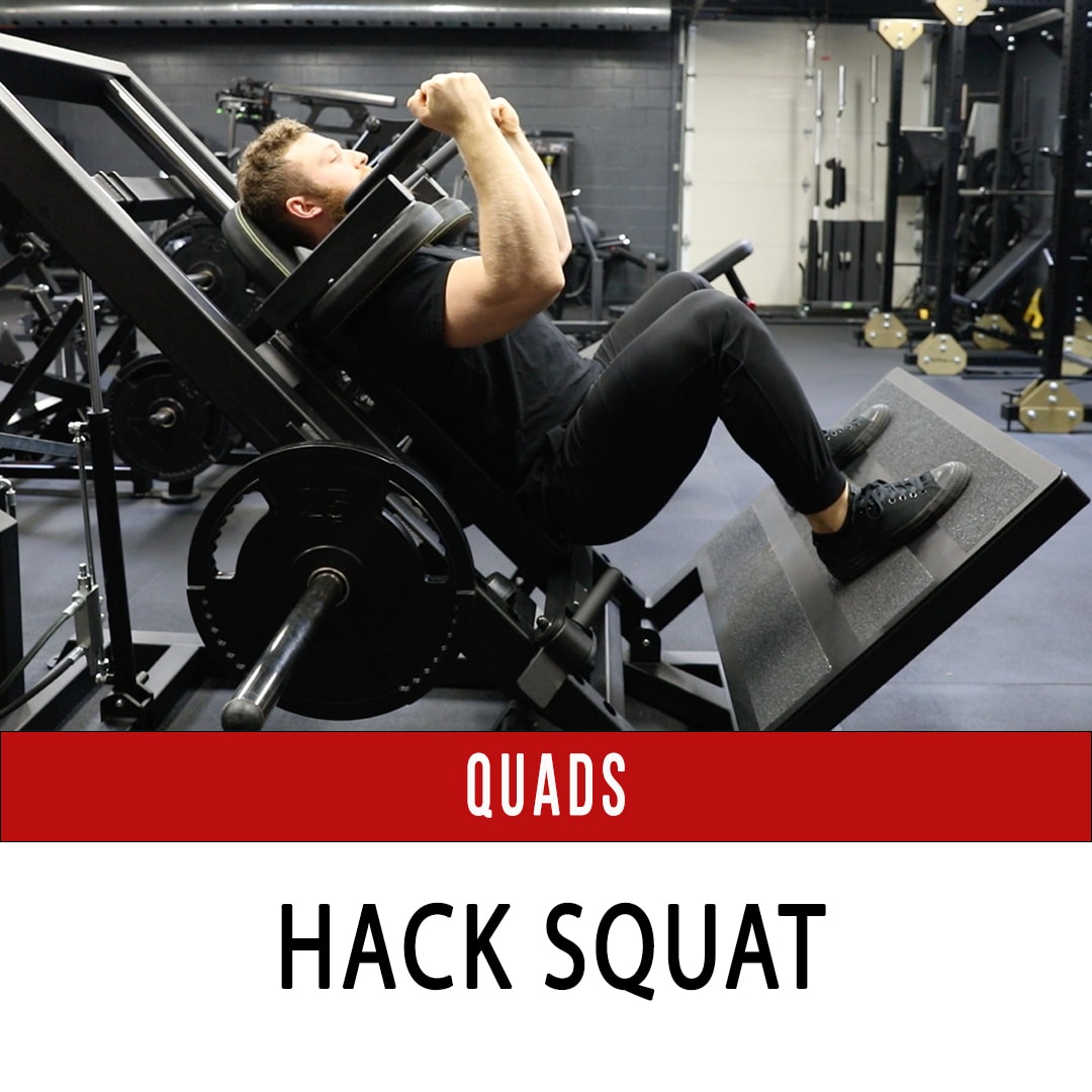 Hack Squat