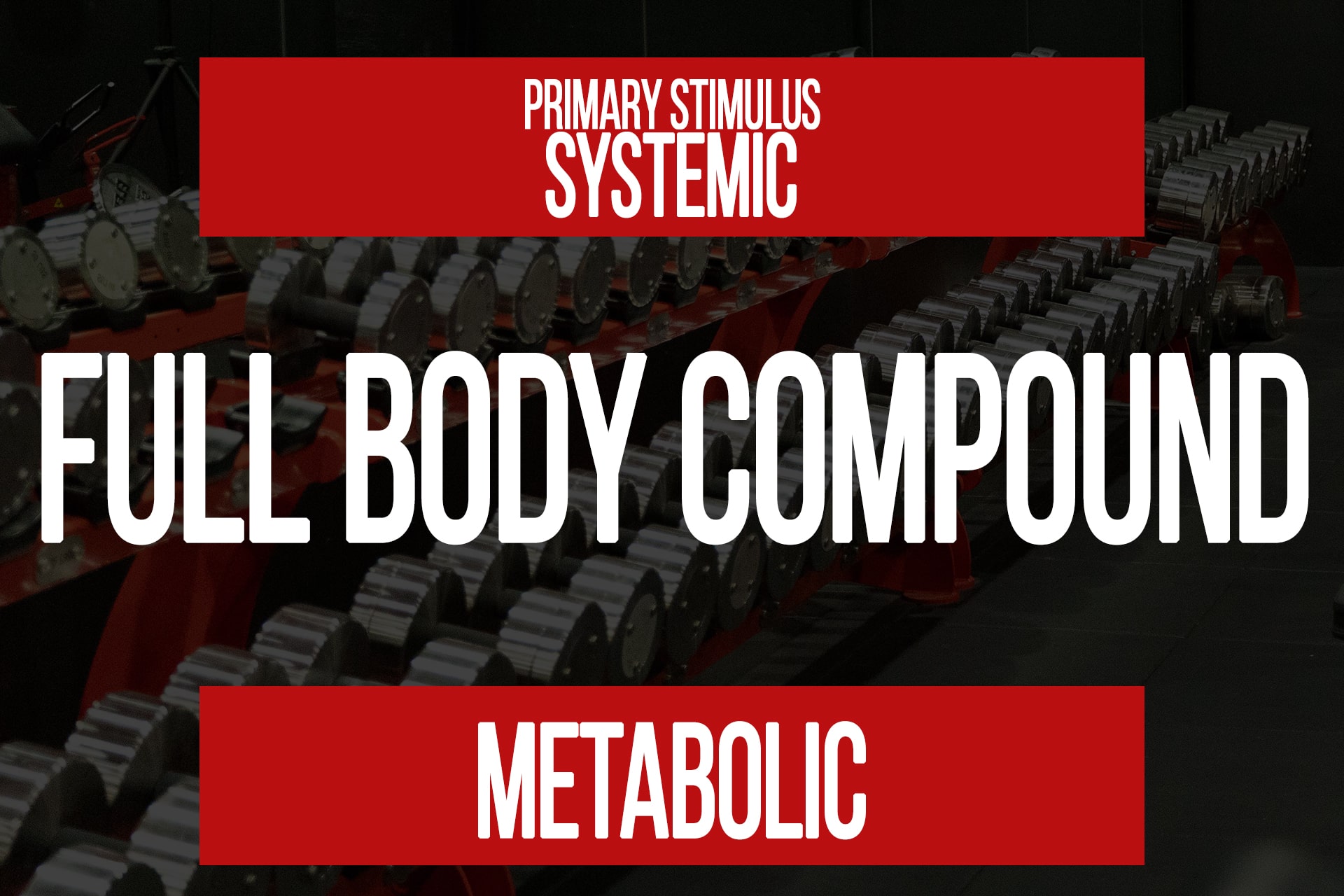 Full Body Compound Training