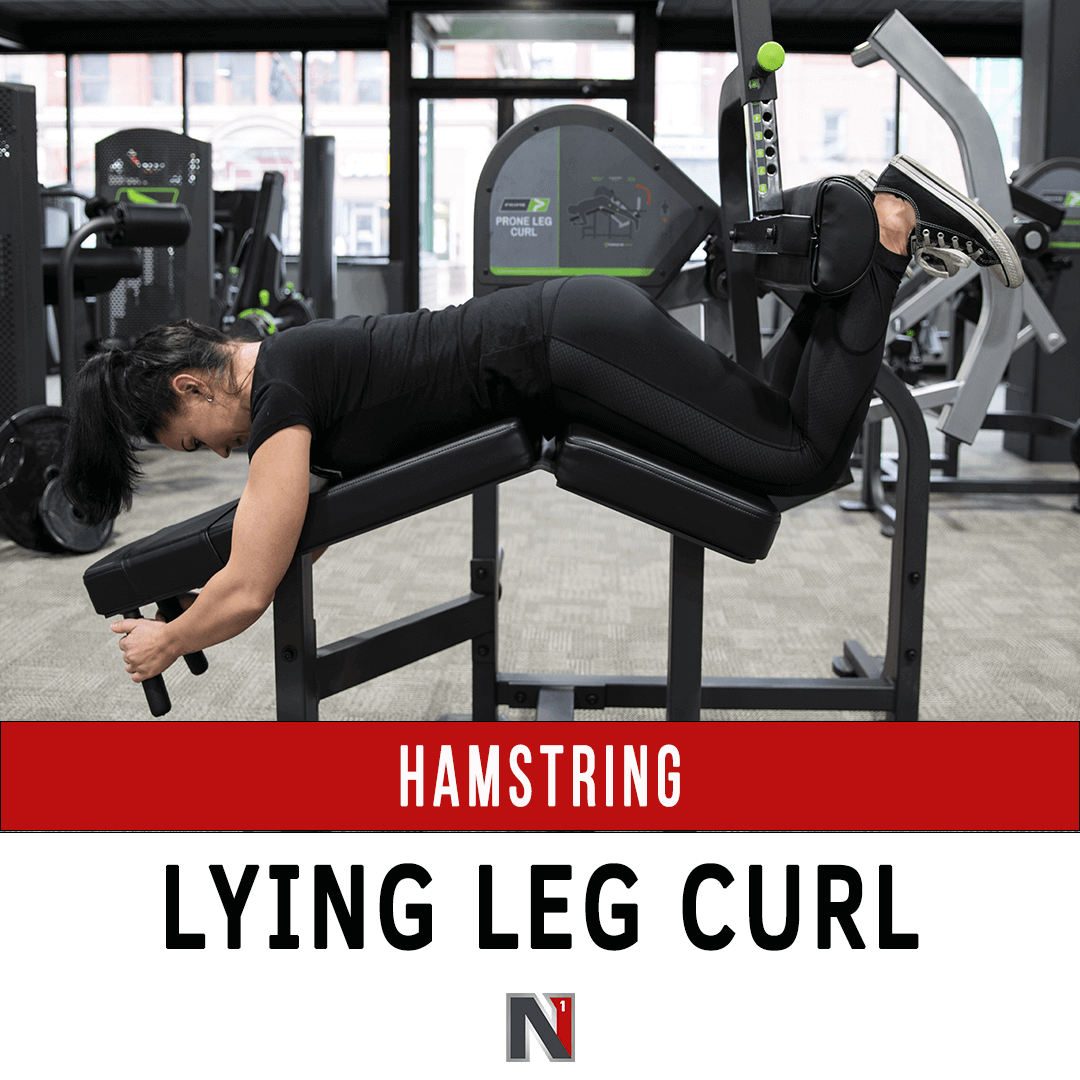 Hamstring Lying Leg Curl - Prime