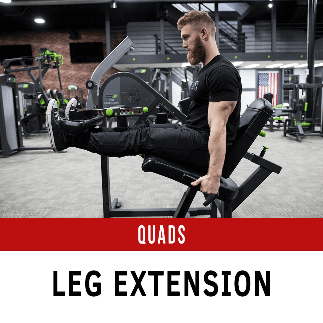 Quadriceps Leg Extension