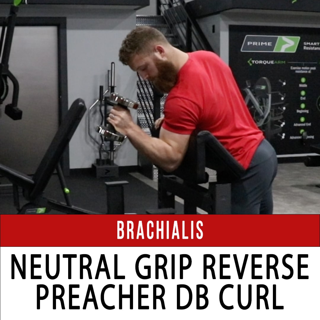 Brachialis Reverse Preacher Curl
