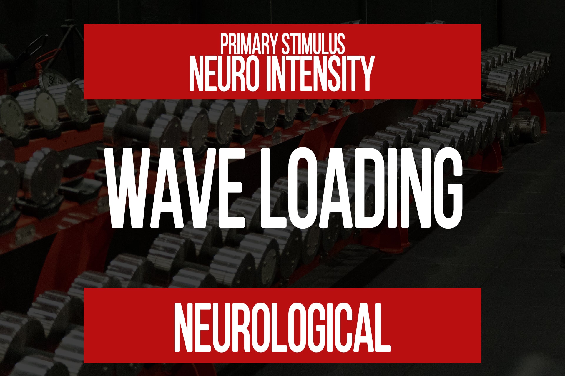 Wave Load