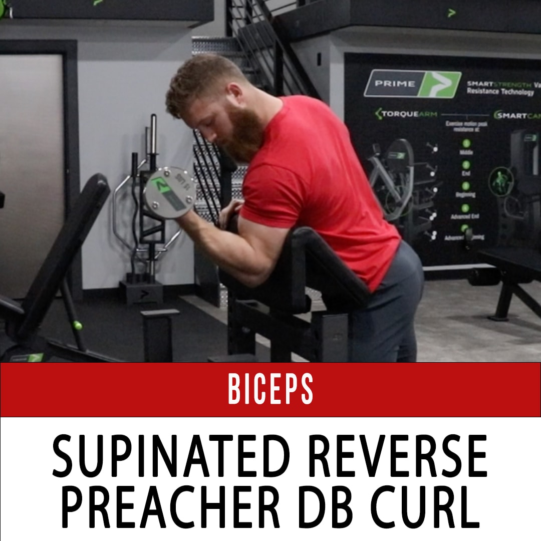 Biceps Supinated Reverse Preacher DB Curl