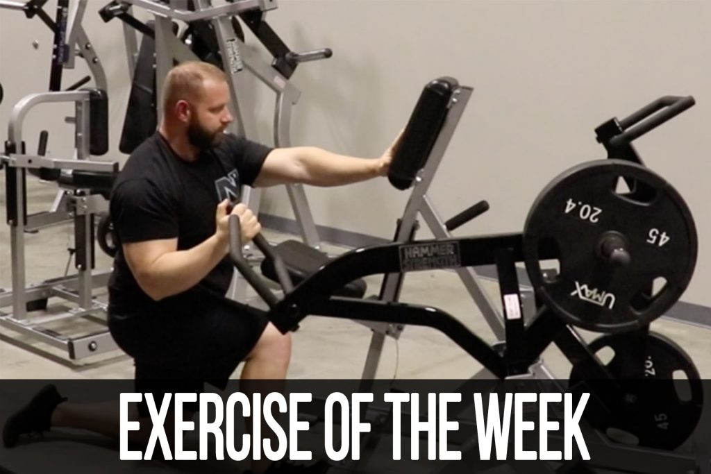Kneeling Hammer Row