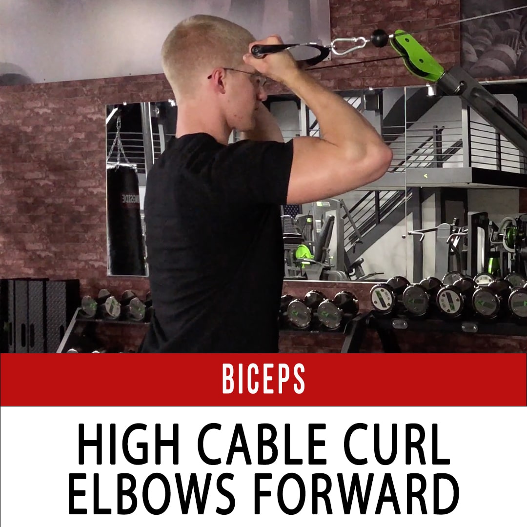 Biceps High Cable Curl Arms Forward