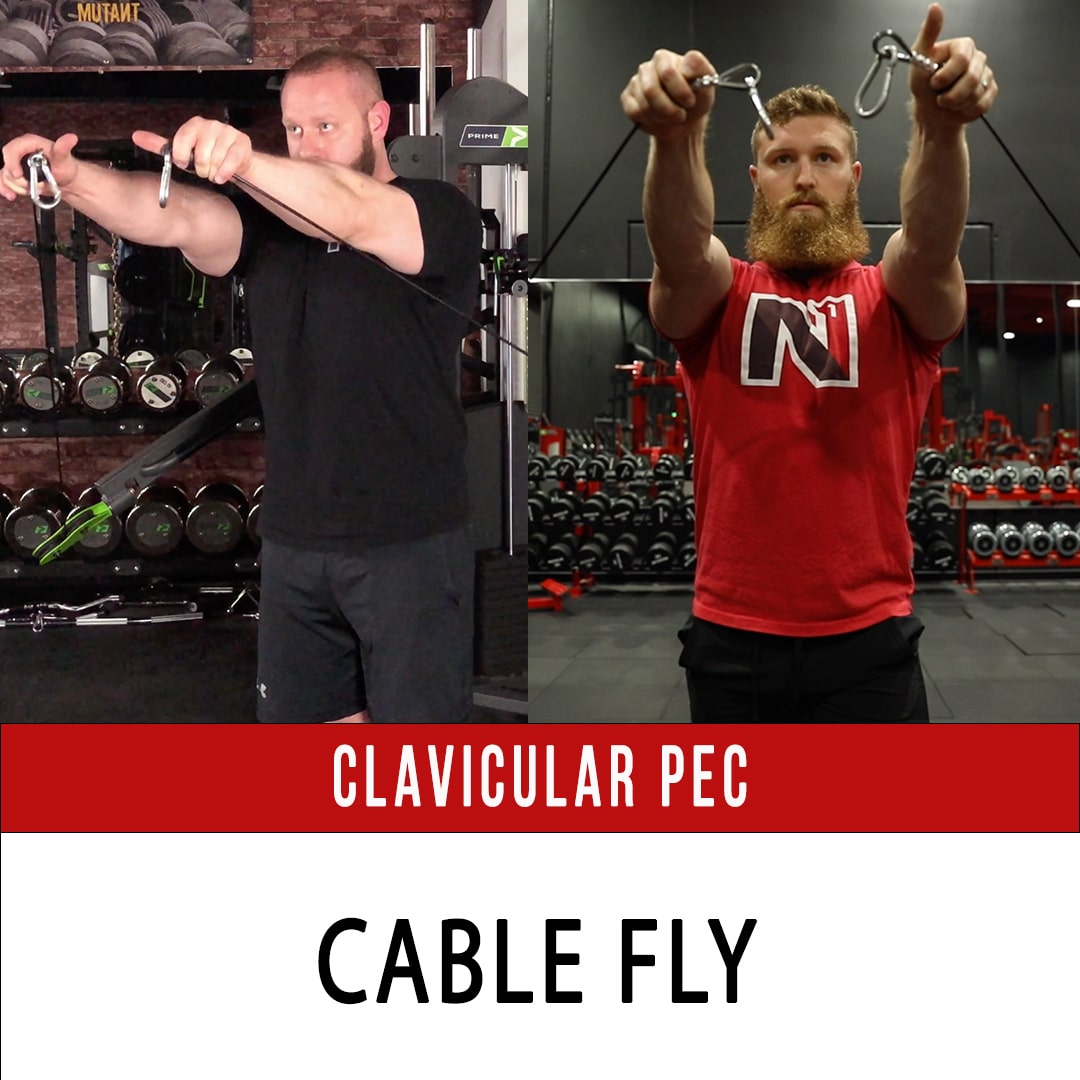 Clavicular Pec Cable Fly