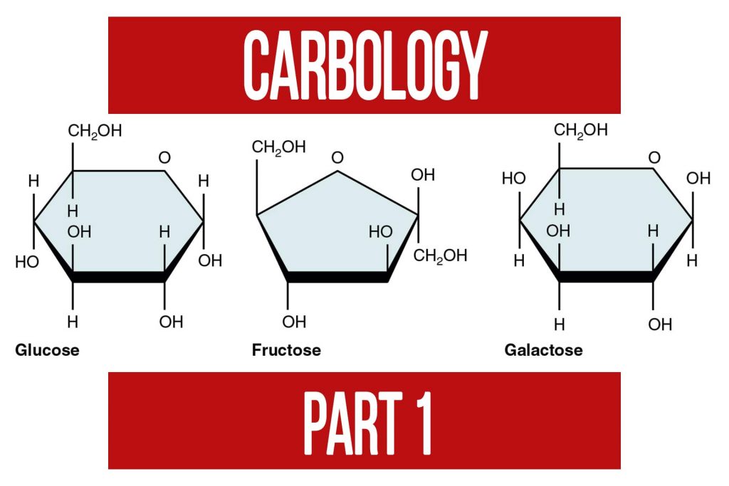 Carbology Part 1 Introduction to Carbohydrates