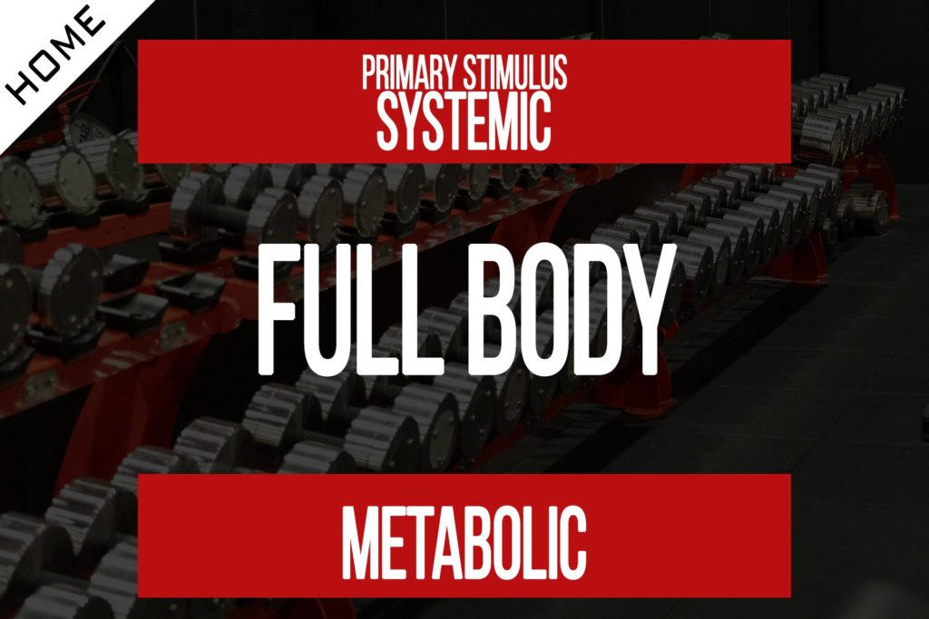 Full Body Workout [Program Membership]