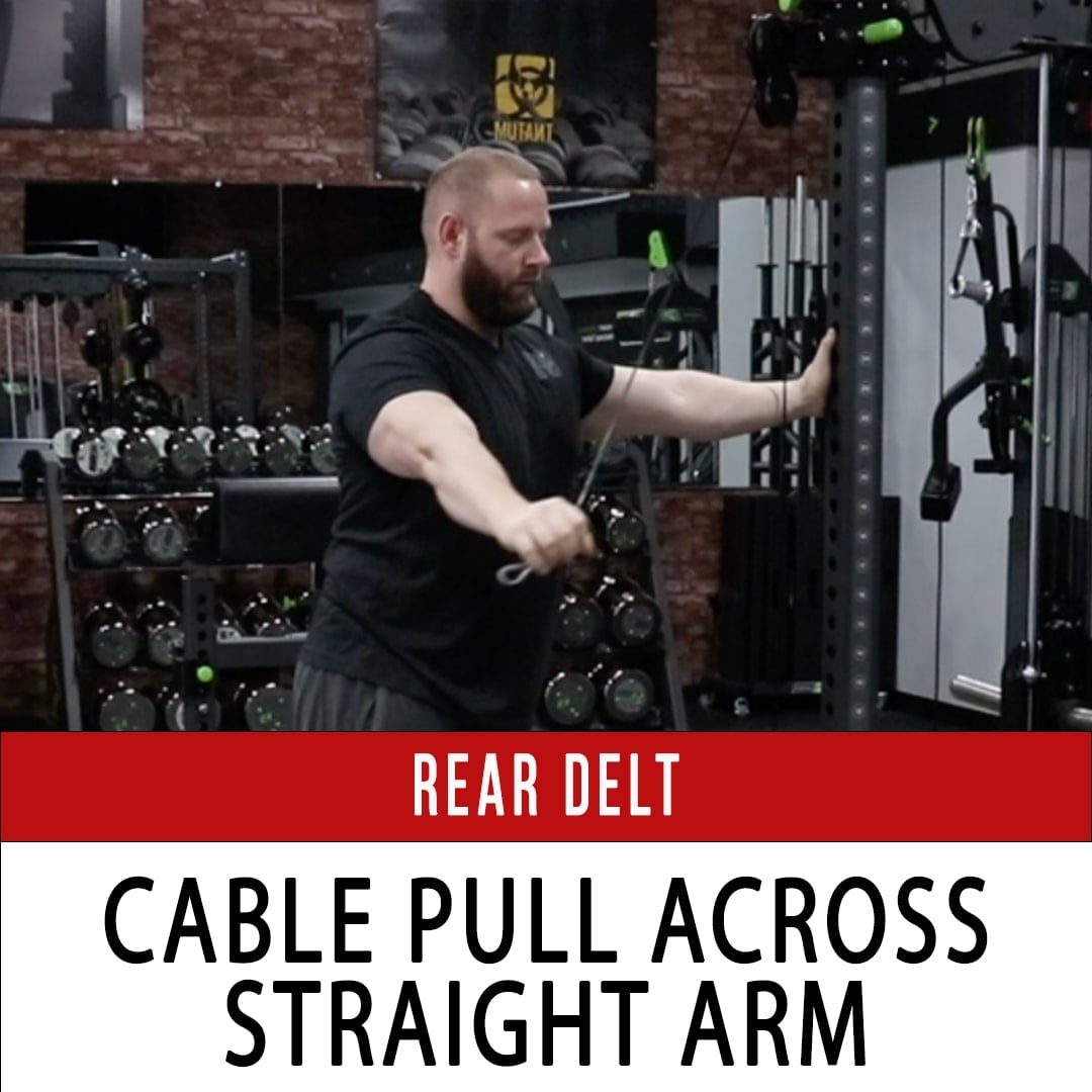 Rear Delt Cable Pull Across Straight Arm