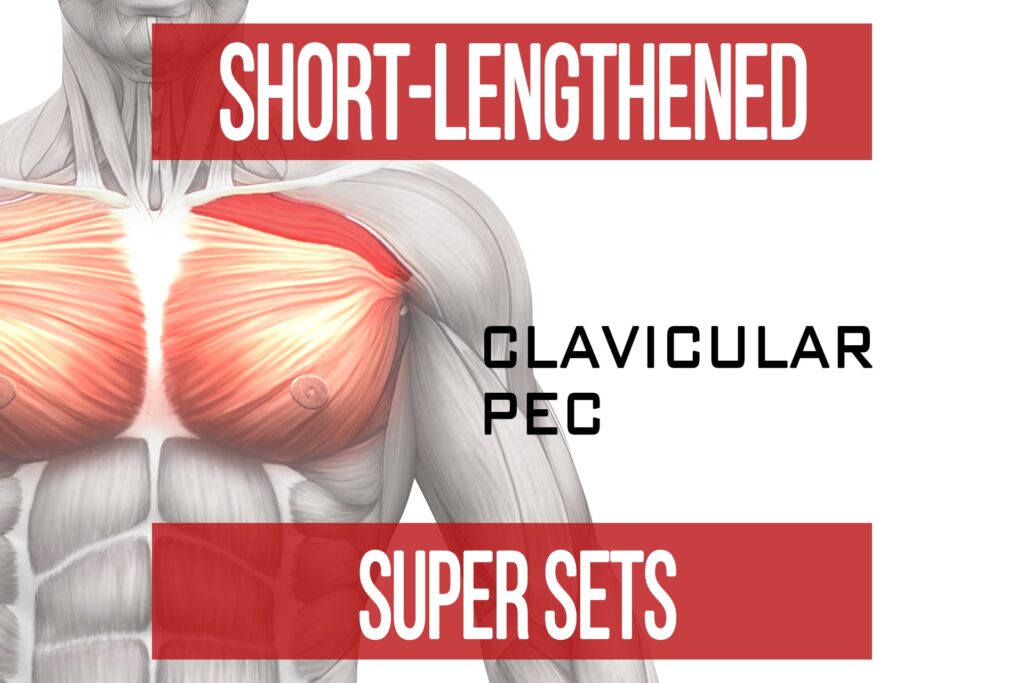 Short-Lengthened Super Sets: Clavicular Pecs