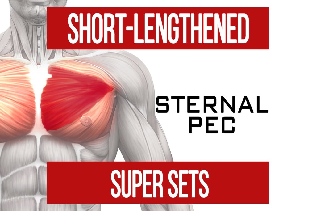 Short Lengthened Super Sets: Sternal Pec