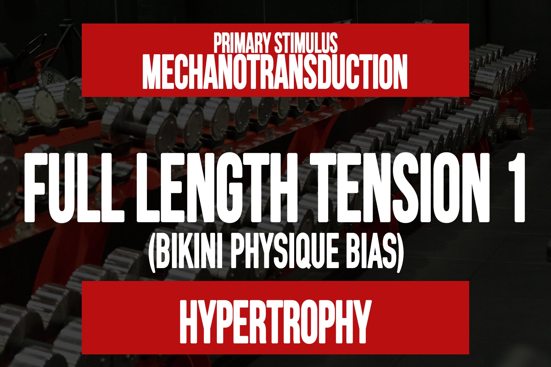 FLT 1 (Female Physique)