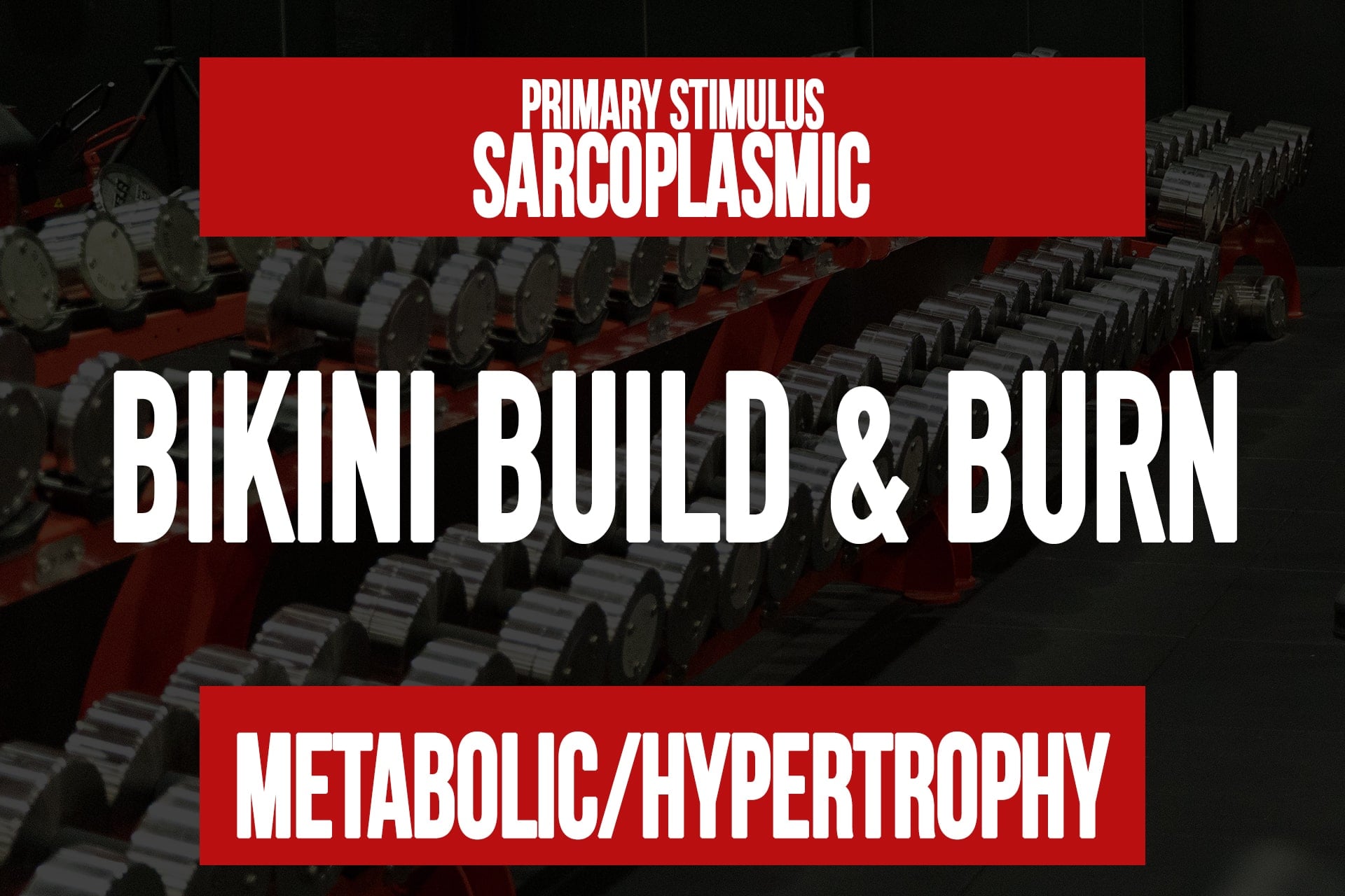 Bikini Build & Burn