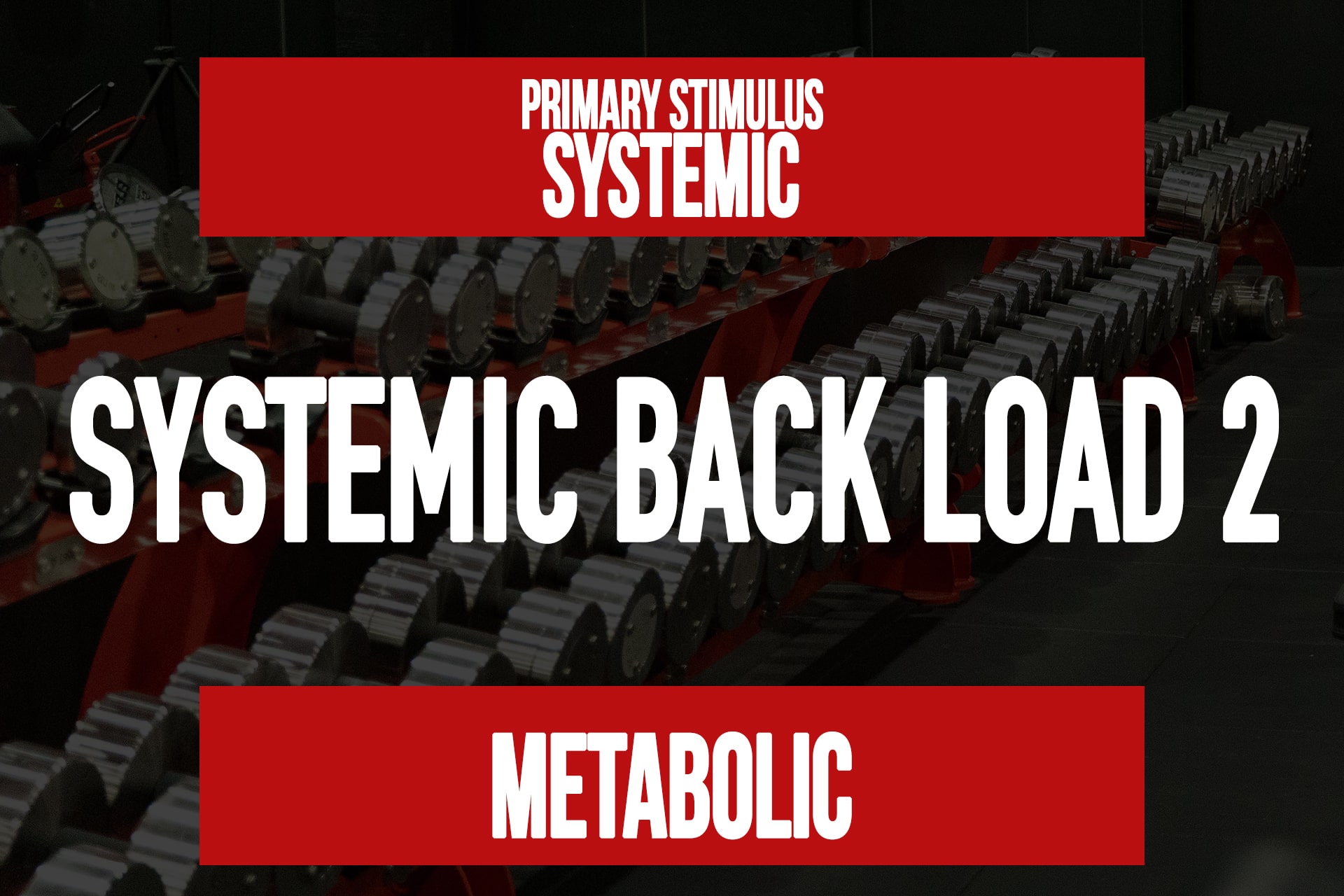 Systemic Back Load 2